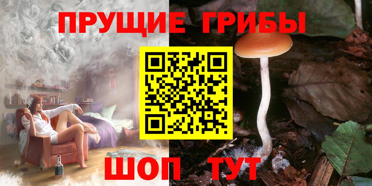 Галлюциногенные грибы Psilocybe  Вход с VPN  Шарыпово 