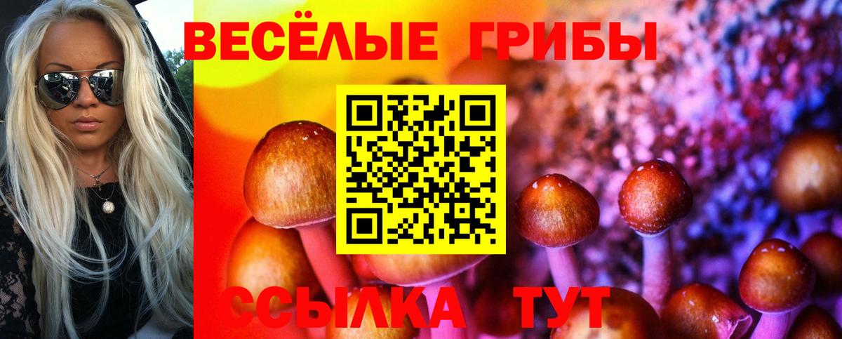 Псилоцибиновые грибы Cubensis Шарыпово